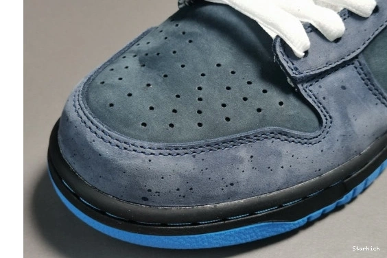 SB Dunk - 313170-342 Blue Low Lobster Nike 1008
